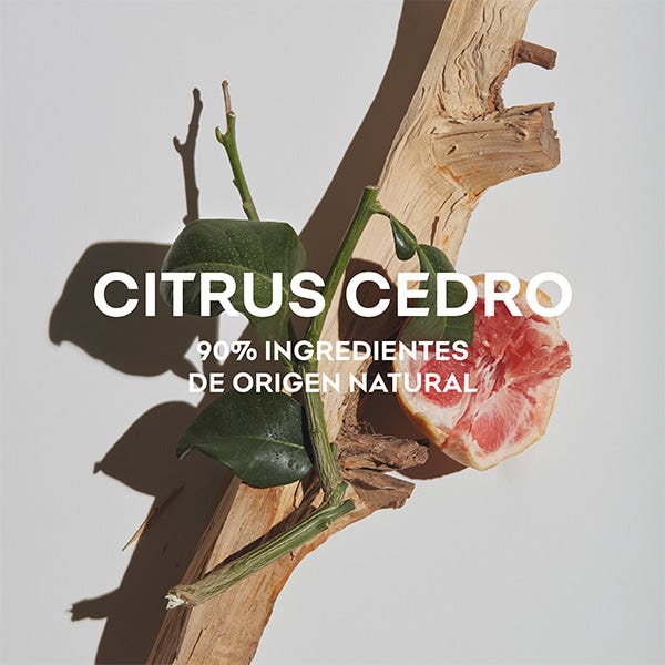 Adolfo Dominguez Agua Fresca Citrus Cedro