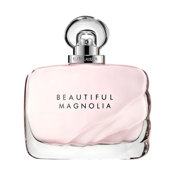 Beautiful Magnolia