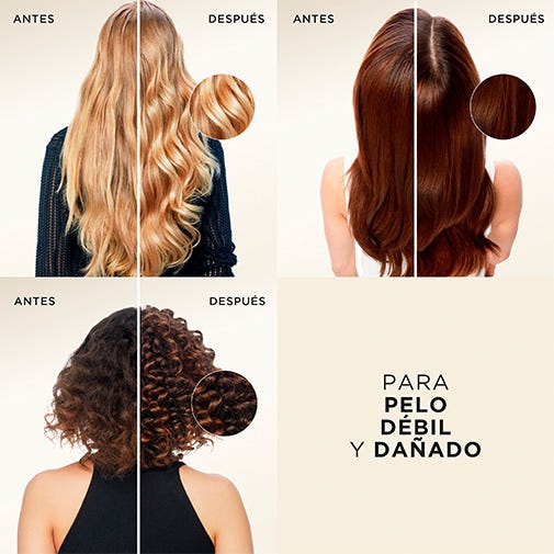 Pantene Champú Active Nutri-Plex Repara & Protege