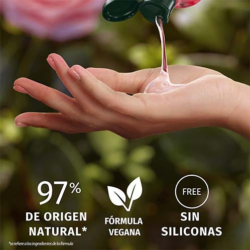 Herbal Essences Champú Aroma Rosas