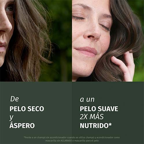 Herbal Essences Champú Aroma Rosas