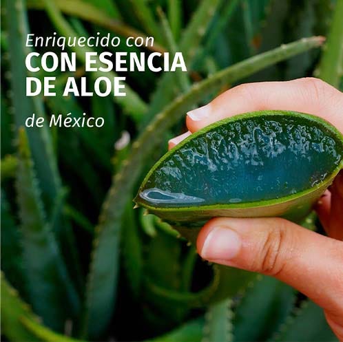 Herbal Essences Champú Fortificante Aloe