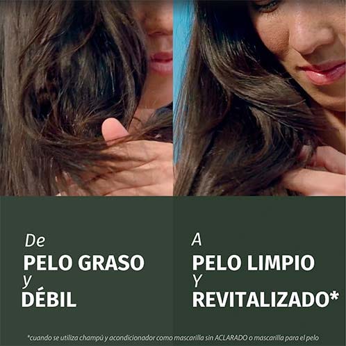 Herbal Essences Champú Purificante Menta
