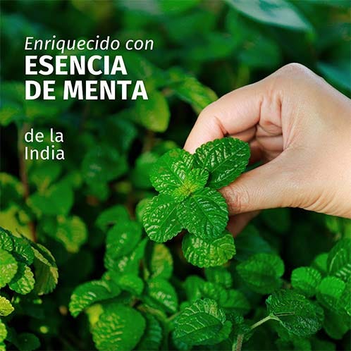Herbal Essences Champú Purificante Menta