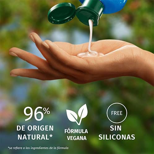 Herbal Essences Champú Reparador Aceite Argán