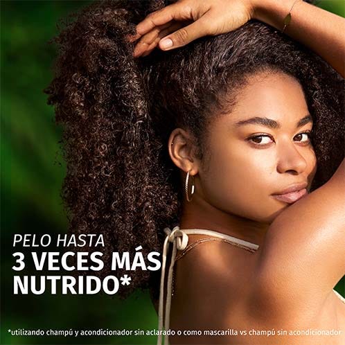 Herbal Essences Champú Reparador Aceite Argán