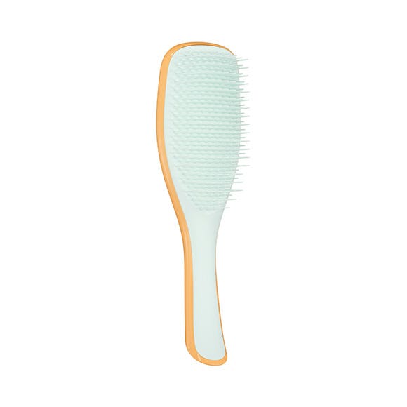Detangling Hairbrush