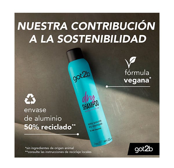 Got2b Dry Shampoo