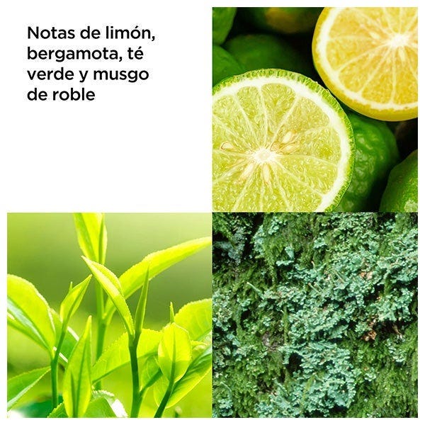 Green Tea Energizing Shower Gel
