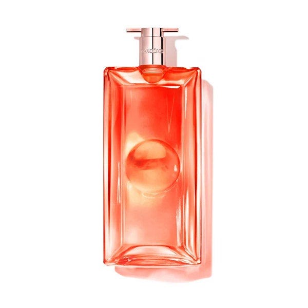 Idole Peach Roses