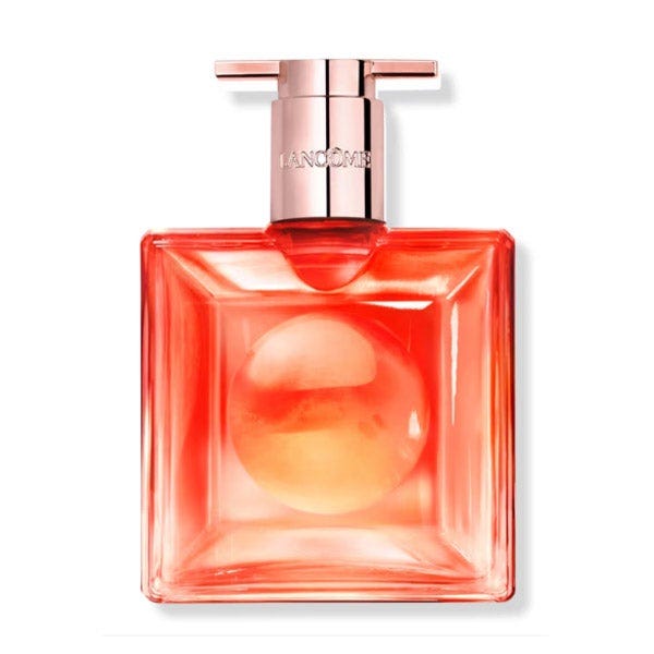 Idole Peach Roses