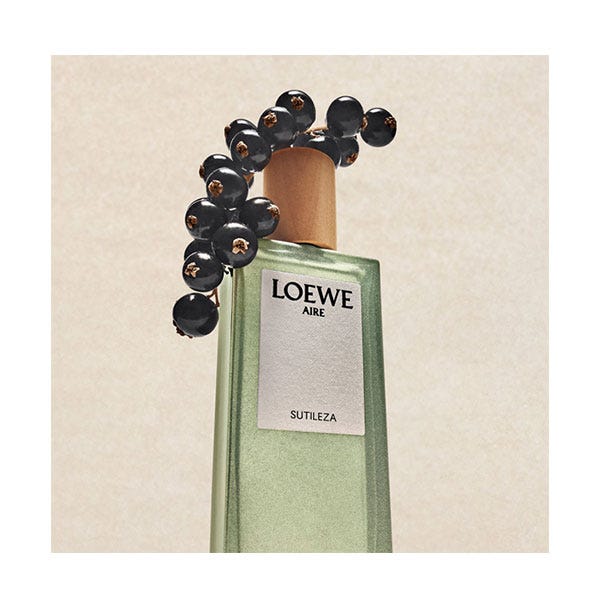 Loewe Aire Sutileza