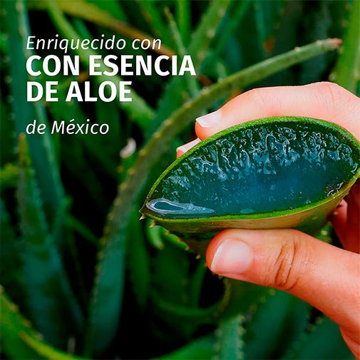 Mascarilla Fortificante Aloe