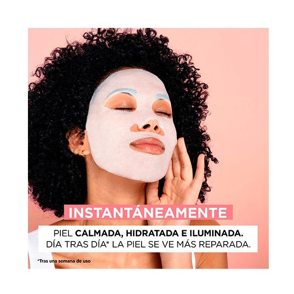 Garnier Mascarilla Probióticos Rostro