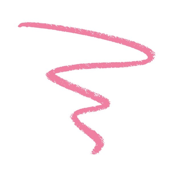 Wet N Wild Perfect Pout Gel Lip Liner
