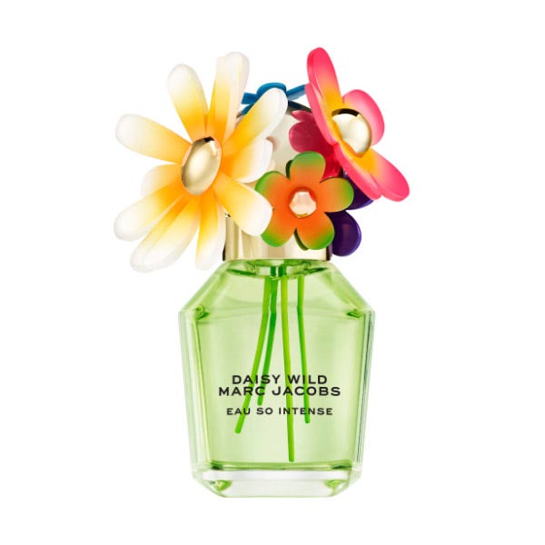 Daisy Wild So Intense
