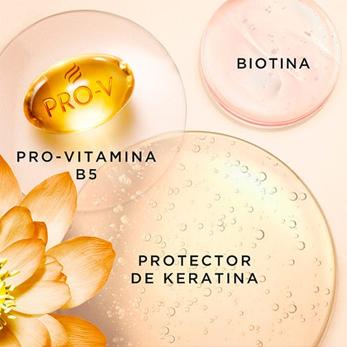 Ultra Nutritiva